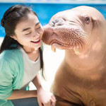 永泰欧乐堡海洋世界