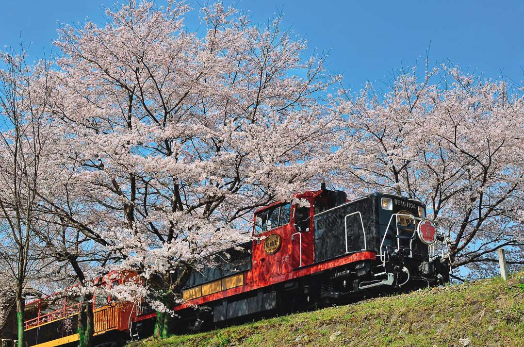 【火爆人气】京都岚山观光小火车车票