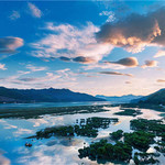 盐田红树林