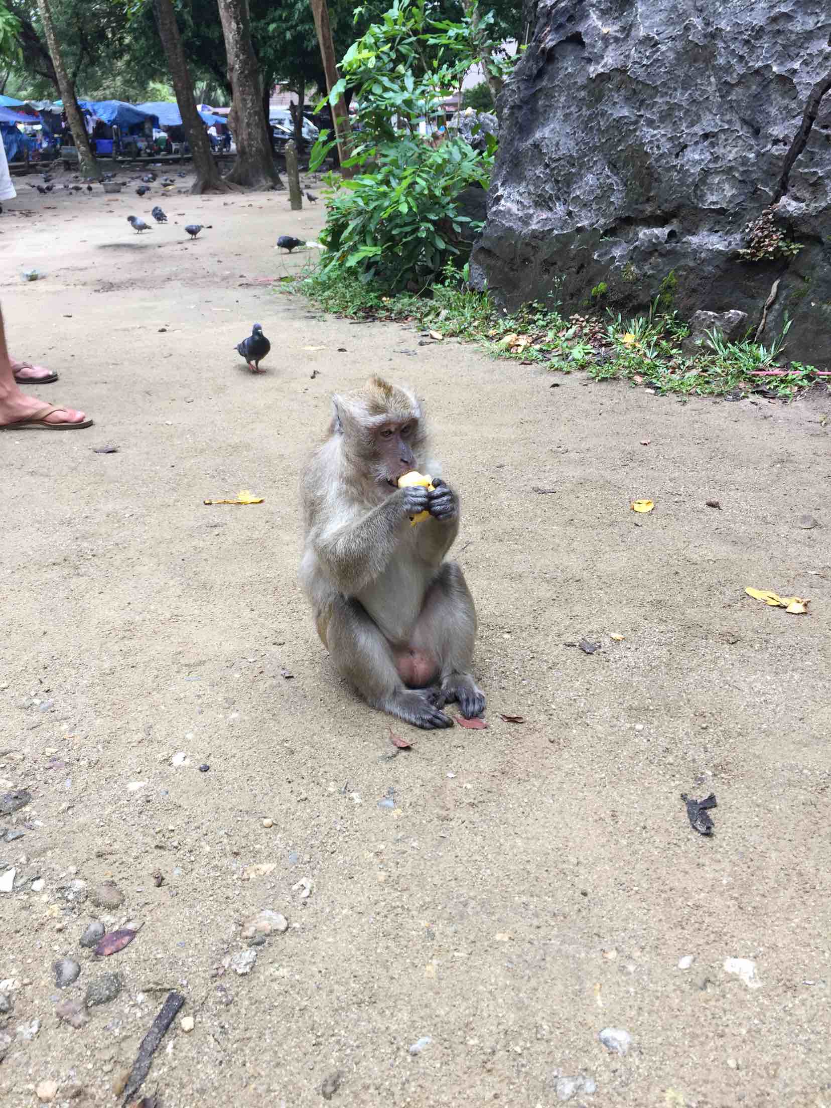 【秋季特惠】普吉 攀牙湾ATV越野车+白水漂流