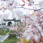 石公山