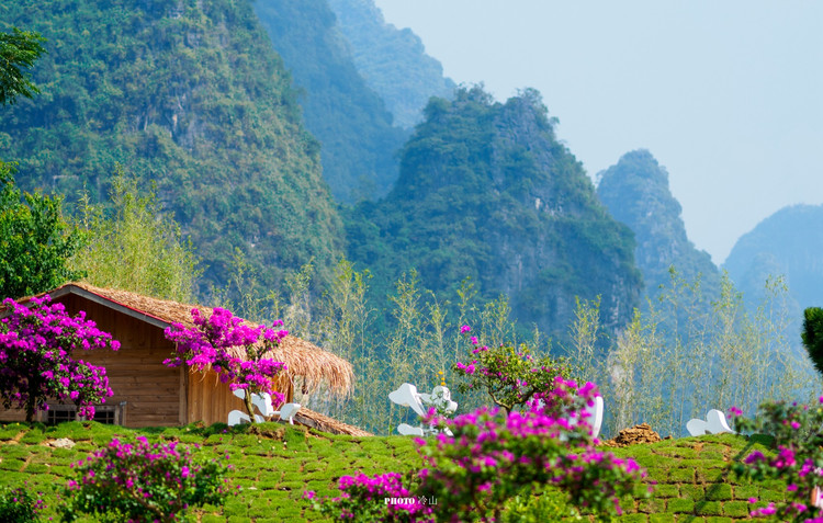 阳朔邂逅千古情我的桂林  从十里画廊骑行两分钟,遇到一片花海,名叫&