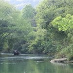 栾川竹海漂流