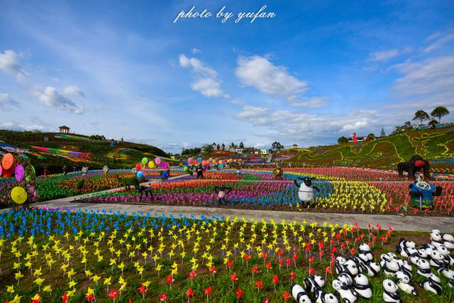 广安百万玫瑰园