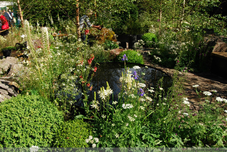 英国人最爱的花园style:蛮,荒,野