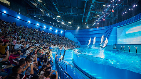 南昌融创海洋乐园图片