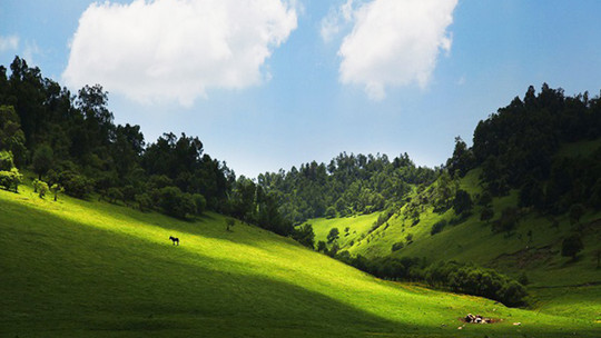 关山牧场(关山草原)门票预订_关山牧场(关山草