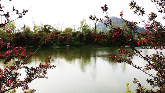 阳山桃花岛景观公园门票