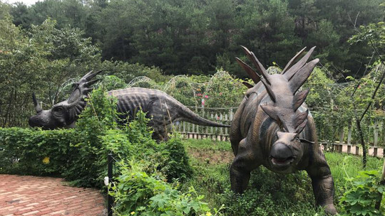 梅州客林爱丽丝庄园