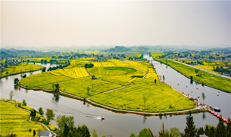陈抟故里崇龛花海潼南油菜花