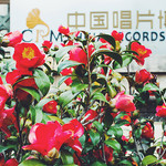 鼓浪屿中国唱片博物馆(黄荣远堂)