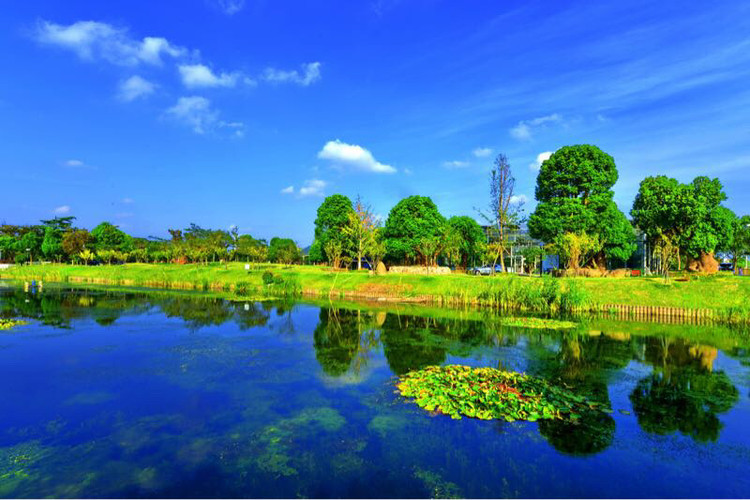 上海多利农庄生态园