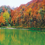 香炉山国家森林公园