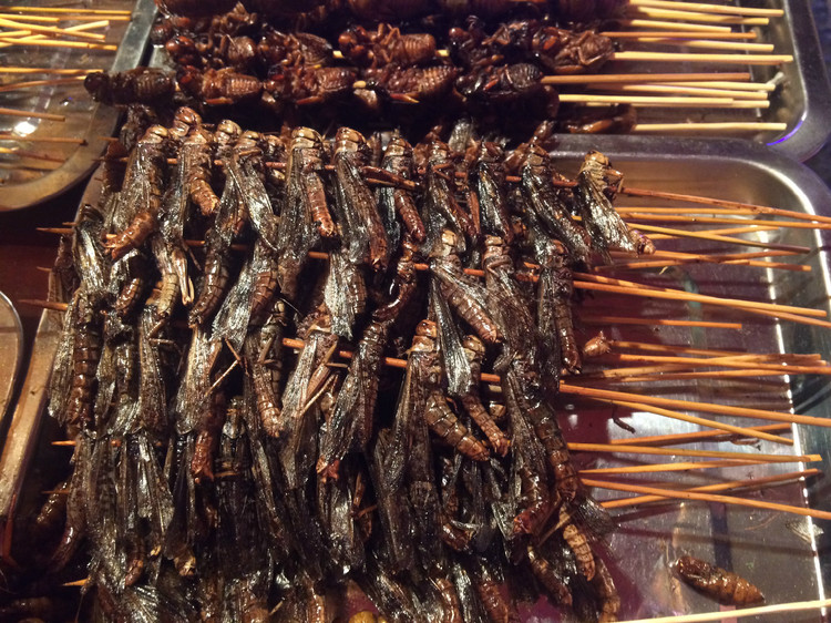 奇怪的虫子油炸 贵州凯里镇远