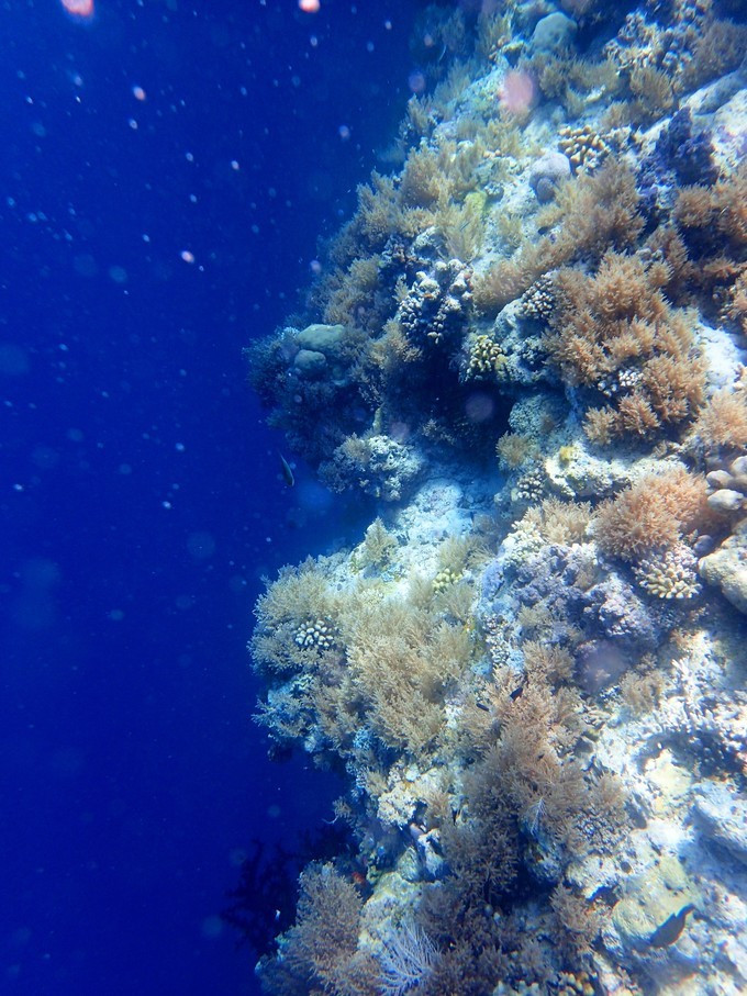 海底大断层(big drop off)