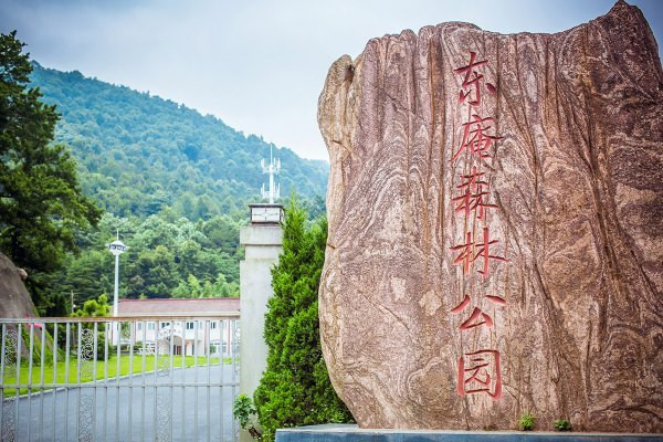这个公园的森林覆盖率98%,植物有50多科250多种.  东庵森林公园