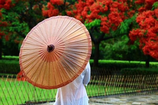 深圳华侨城生态广场 油纸伞下的女子,此刻雨中凝眸,背影藏着多少故侣