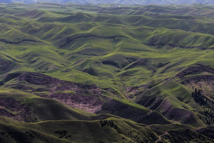 六月,相约多彩伊犁 - 伊犁哈萨克自治州游记攻略【同程旅游攻略】