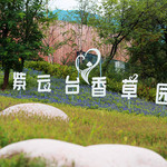 紫云台香草园