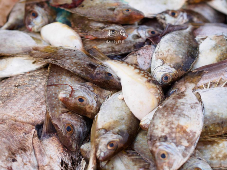 连江黄岐半岛两日行记