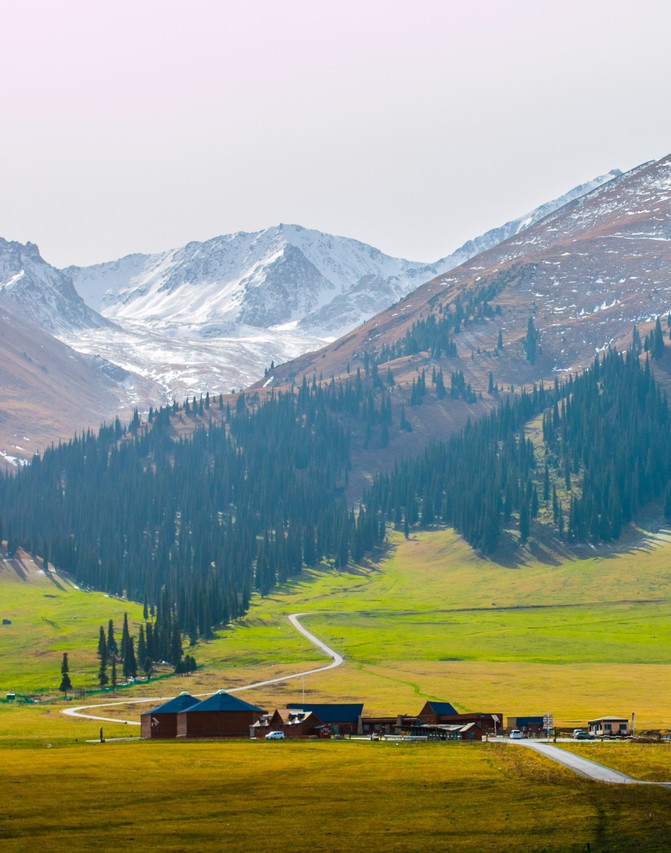 新疆那拉提,雪山云海森林胡杨林……你想要的草原秋色都在这
