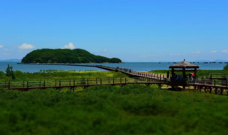 海陵岛红树林国家湿地公园