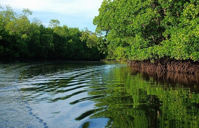 东马来西亚,沙巴(亚庇,神山,红树林,萤火虫,长臂猴)