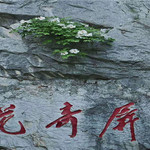 银屏山
