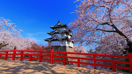 【日本绿牌车】日本大阪\/东京中文包车一日游
