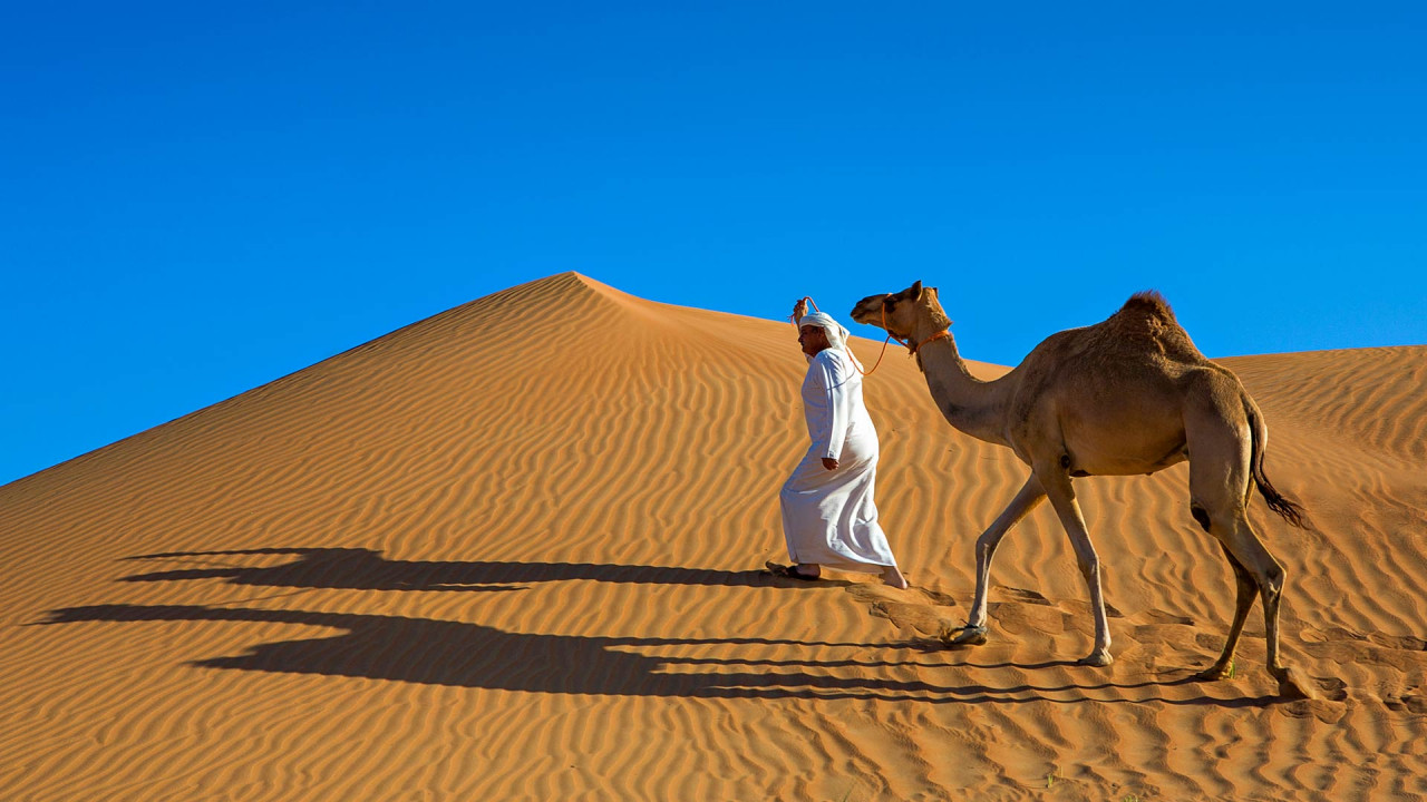 阿联酋迪拜夜间沙漠冲沙半日游(含烧烤晚餐,可选巴士或陆地巡洋舰接送