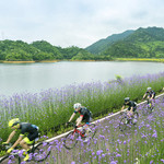 千岛湖环岛骑行