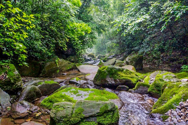 乐游保康之五道峡,仙境在浮沉