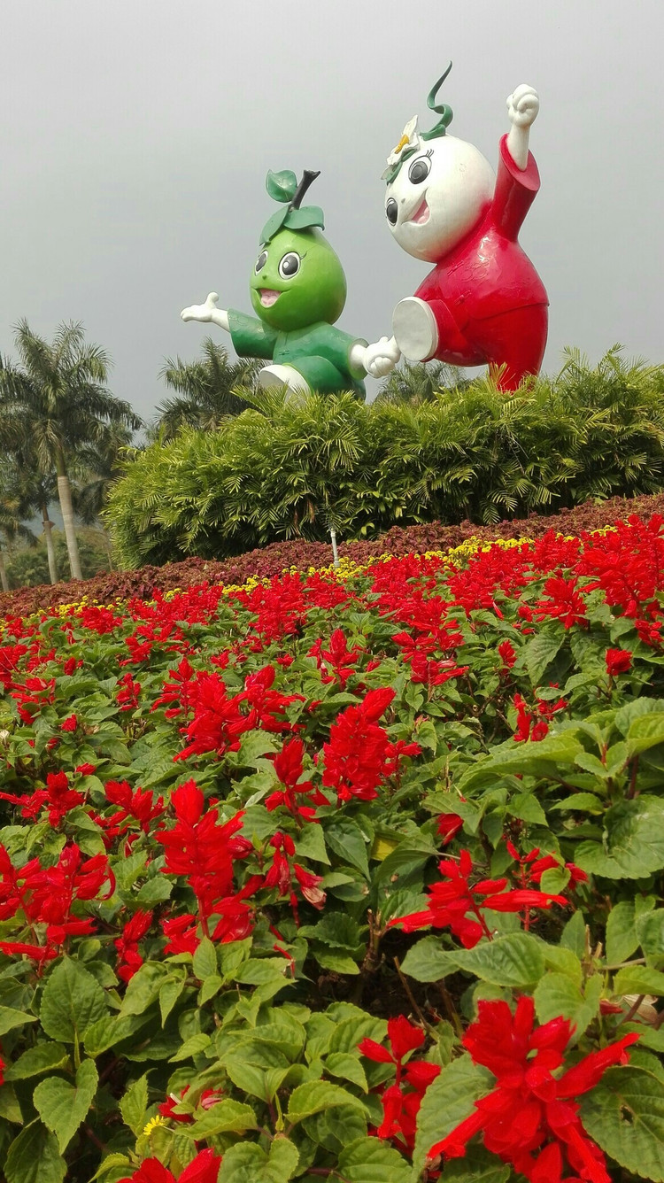 2017,3,4漳州东南花都