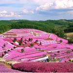 重庆香盟花千谷