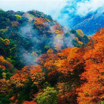 川西红枫岭景区