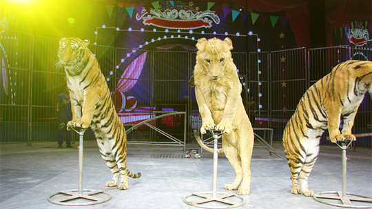 南京雨发生态旅游区门票预订_南京雨发生态旅