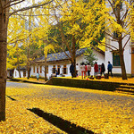 帽子峰旅游景区
