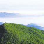 江西阳明山国家森林公园