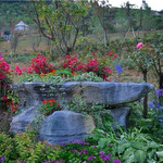 百花谷旅游度假区
