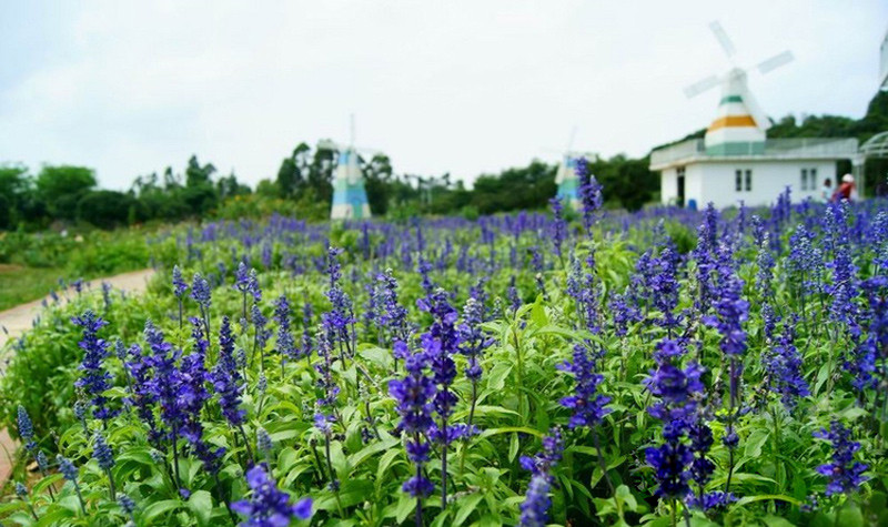 //pic5.40017.cn/02/000/c8/2d/rBANDFlTHcCAYzRHAAMWRhJepfk547.jpg