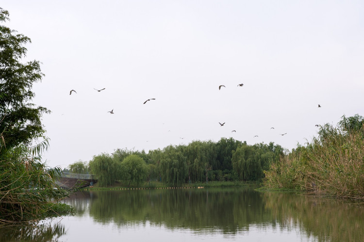 【水慢城验客】走进南京后花园高淳,感受固城湖水慢城的慢时光