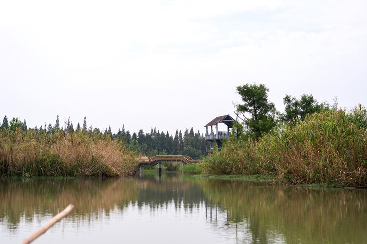 感受固城湖水慢城的慢时光 身在湖中不知到底多大,到底有什么景观