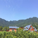 三峡月亮花谷