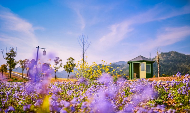 千岛湖进贤湾马术公园