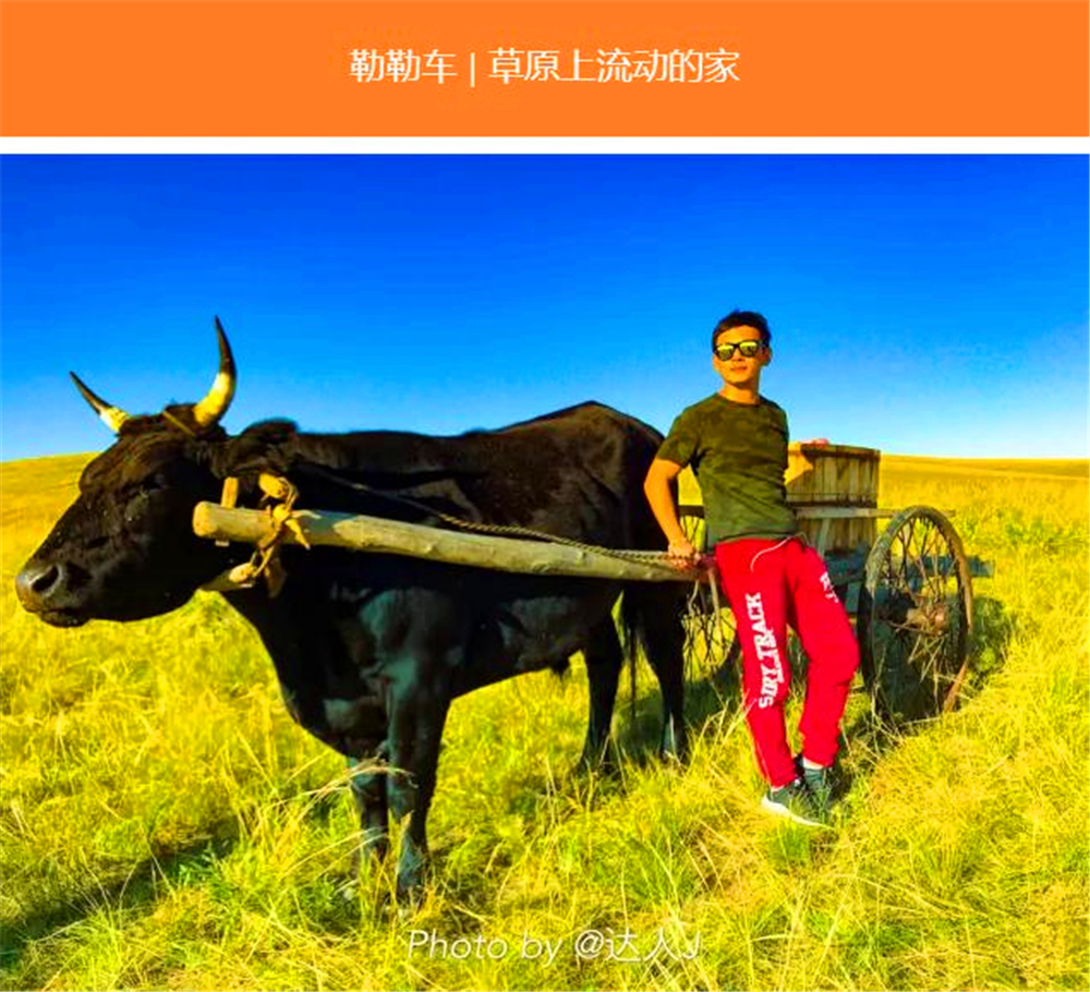 干货一篇文章让你通读你想知道的内蒙古大草原