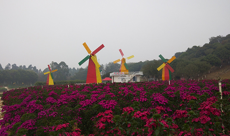 //pic5.40017.cn/02/000/e5/1b/rBLkCFp6caaAOKV1AAMLbLA_HlY572.jpg