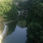 诸暨香榧森林公园