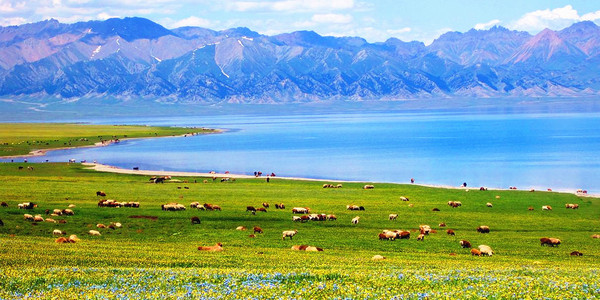 去新疆赛里木湖旅游攻略报团 rBLkCVkWzuOAQkyqACAAAIEwjGs923_600x300_00.jpg