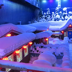 雪飘飘冰雪世界