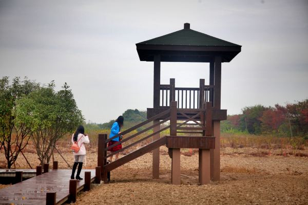 二,金星村,朱氏文化发源地